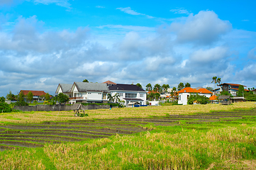 Image showing Villa rice field Bali Indonesia