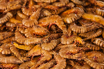 Image showing Shrimps close up