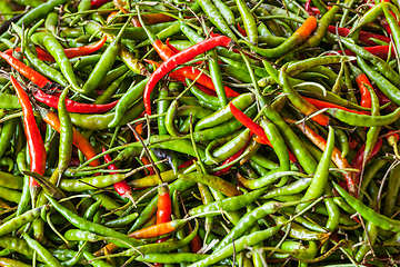 Image showing Red and green spicy chili peppers