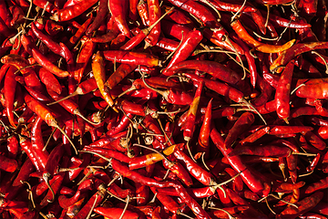 Image showing Red spicy chili peppers