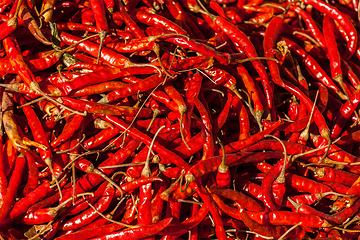 Image showing Red spicy chili peppers