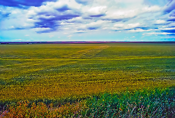 Image showing Fields, Montana