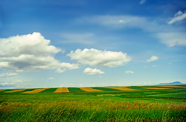 Image showing Fields in Montana