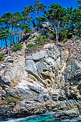 Image showing Point Lobos, California