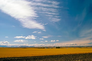 Image showing Field, Montana
