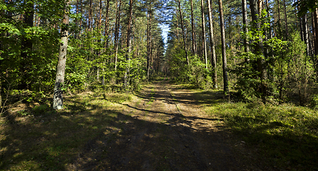 Image showing in the autumn season