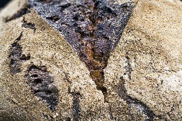 Image showing dark bread with a crisp crust