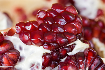 Image showing pomegranate grain