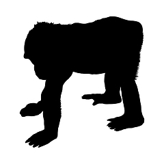 Image showing Gorilla Silhouette