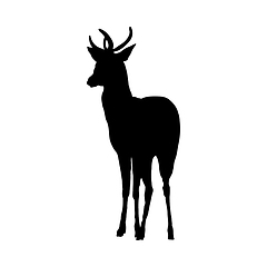 Image showing Deer Silhouette