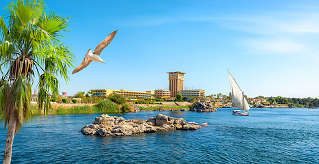 Image showing Aswan in summer