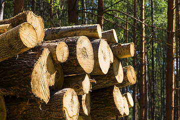 Image showing stored large wood