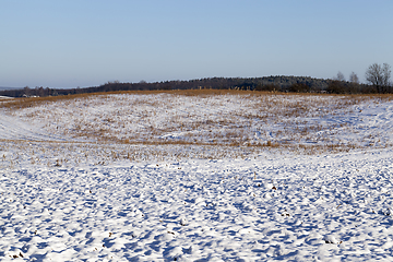 Image showing snow covered farm field