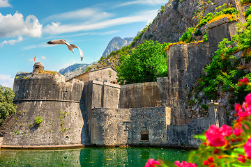 Image showing Bird over Bastion