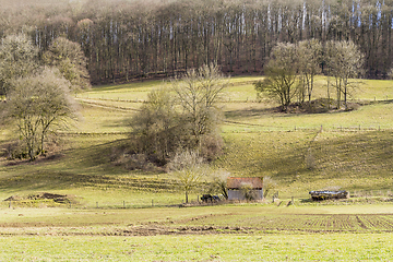 Image showing rural landscape in Hohenlohe