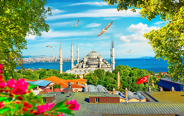 Image showing Blue Mosque and flowers