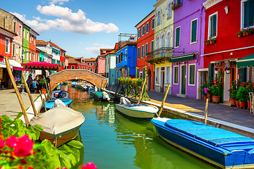 Image showing Bridge in colored Burano