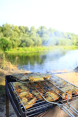 Image showing barbecue from hen's meat