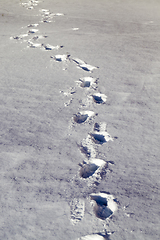 Image showing snow drifts