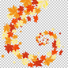 Image showing Autumn maples