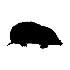 Image showing Mole-Rat Silhouette