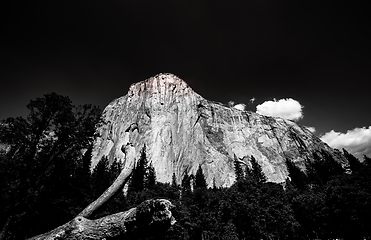 Image showing El Capitan, Yosemite national park