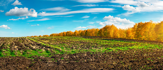 Image showing Agro field in autumn