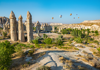 Image showing Air balloons over valley of love