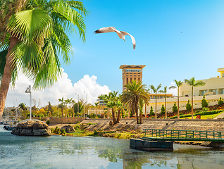 Image showing Aswan and Nile coastline