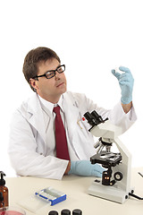 Image showing Scientist inspecting a slide