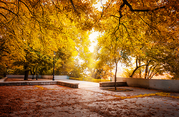 Image showing Backyard with trees in autumn