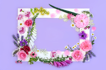 Image showing Medicinal Summer Flowers and Wildflowers Background Frame 