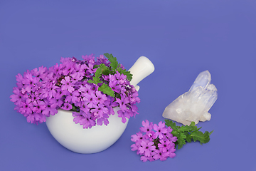 Image showing Verbena Herb Flowers Crystal Healing