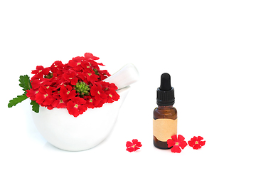 Image showing Red Verbena Flowers and Essential Oil Bottle