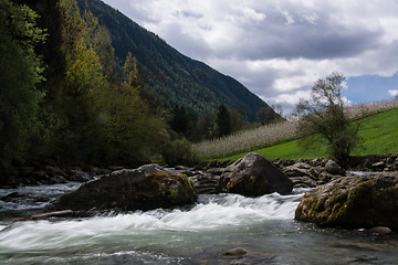 Image showing River Noce in South Tyrol, Italy