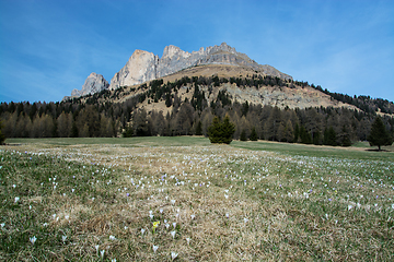 Image showing Rosengarten Group, South Tyrol, Italy