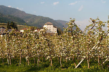 Image showing Caldes, Trentino, Italy