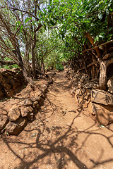 Image showing path in walled village tribes Konso, Ethiopia