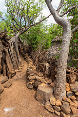 Image showing path in walled village tribes Konso, Ethiopia