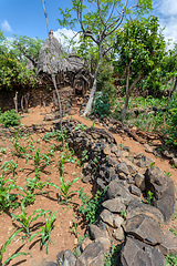 Image showing fantastic walled village tribes Konso, Ethiopia