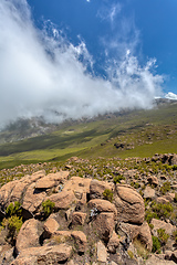 Image showing landscape of Bale Mountain