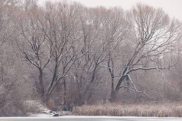 Image showing Winter landscape covered with snowfall