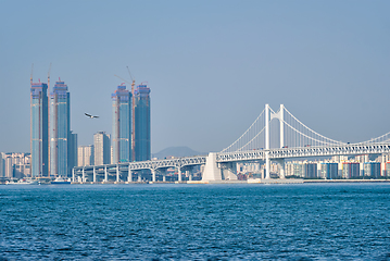 Image showing Gwangan Bridge and skyscrapers in Busan, South Korea