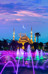 Image showing Blue Mosque and fountain