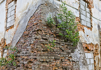 Image showing destroyed old brick wall