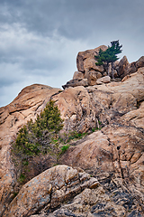 Image showing Rock with pine trees in Seoraksan National Park, South Korea