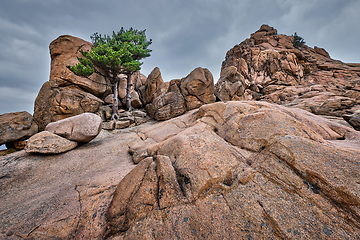 Image showing Rock with pine trees in Seoraksan National Park, South Korea