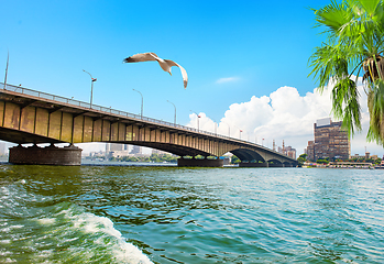 Image showing Bridge in Cairo