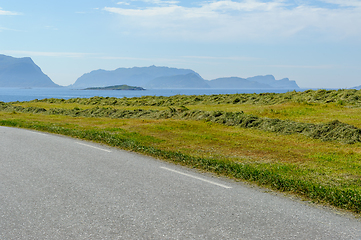 Image showing freshly cut grass to dry by the road and sea and islands on the 