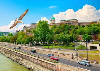 Image showing Castle Hill and Royal Palace